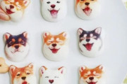 外国人「日本の柴犬マシュマロがかわいすぎて食べられないよ！」