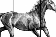 外国人「最初から最後まで面白い日本の漫画って存在するの？」