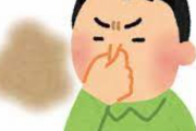 海外「東京でこの時期に感じる、得体の知れないヒワイな臭いの正体って？」