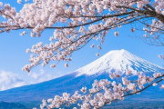韓国人「日本移民はどう思いますか？」日本移民の長所は何がありますか？　韓国の反応