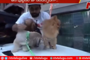 犬に風船をつけて飛ばしたインドのユーチューバーGaurav Sharma氏に批判殺到