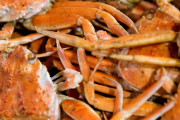 海外「日本に生息する世界最恐の甲殻類、美味いのか！？」食べることに興味深々な外国人