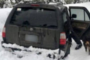 （米）大雪で5日間立ち往生の男性、タコスのソースで生き延びる（海外の反応）