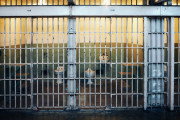 アメリカの死刑囚が最後の食事の代わりに望んだ一服が拒否された理由