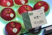 海外「アメリカの果物の品質を上げるためにも日本のように高級果物というコンセプトを作るべき」