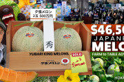 外国人「日本のメロンがなんで高いかって？こういうことだよ！！！」