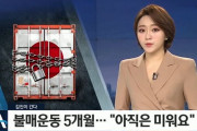 韓国人「日本がまだ憎い‥」日本製品不買運動から5ヵ月、韓国人はまだ日本を憎んでいるのか？不買運動の現状とは？　韓国の反応