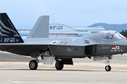 【海外の反応】韓国人「ポーランドに韓国の戦闘機を買ってもらってロシアを爆撃してほしい…」