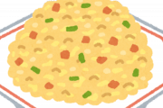 韓国人「日本で美味しかった料理は、キムチ炒飯だけでした」