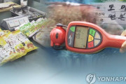 【韓国の反応】日本の水産物や海水などの放射能検査結果OK…韓国人「で、輸入許可するって？てめえらだけ食らってろ。」