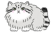 日本で話題の「マヌルネコの冷え性対策」が可愛すぎる！【台湾人の反応】