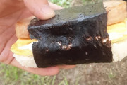 外国人「初めて寿司を食べたんだがこれは何て種類なの？」