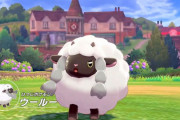 動物愛護団体PETAが『ポケモン ソード・シールド』人気に便乗し政治的なメッセージを発信→ 批判を受けフルボッコにｗｗｗｗｗ