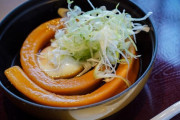韓国人「日本で有名だという一本うどんがこちらです‥」→「これは‥（ﾌﾞﾙﾌﾞﾙ」　韓国の反応