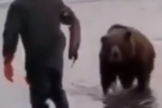 これちょっとおすそ分けです。勇敢にも野生のクマに餌をやる男。海外の反応