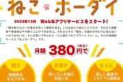 【韓国の反応】「月3600ウォンで貸出」日本の猫サービスをめぐる議論。韓国の反応「無責任に捨てるよりはいい。/日本は殺処分して個体数を調節する。」