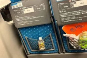 インド人「日本の電車でポイ捨てして大騒ぎするインド人観光客…見ていて恥ずかしくなるからやめろ」