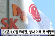【画像アリ】韓国経済が崩壊していることがわかりやすい大企業...(.JPG)