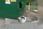 【海外】駐車場に放置された「ココナッツウォーター」の箱、中身は全く違う衝撃の真実とは？
