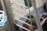 海外「なぜニューヨークに来たい人が多いのか理解できない。色々と終わっているNY地下鉄」
