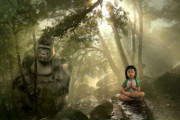 人間と変わらん！？帽子を被りたがるゴリラさん「これぞエイプ」「寝取られ系の新ジャンル」海外の反応