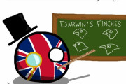 【ロシア】ダーウィンフィンチ【ポーランドボール】