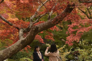 韓国人『これが世界に誇れる日本の風景なんだね』紅葉の京都で感動が止まらなかった理由とは