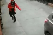 南米少女が路地裏で誘拐されそうになるも…颯爽と現れた野良犬が助けてくれた