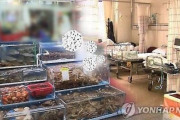 韓国人「刺身を食べて食中毒に‥」韓国釜山の刺身屋で刺身を食べた50代6人が食中毒の症状を示し、病院に搬送される　韓国の反応