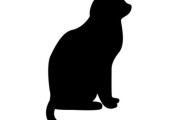 猫の飼い主「帰宅したら、アートとアーティストがそこにあった…」納得できる光景