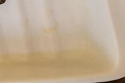 日本の朝食のコスパの良さにニュージーランド騒然！←「凄いな！」（海外の反応）