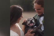 【海外】「19歳の愛犬を祝う！感動的な結婚式で最高の一日をプレゼント」