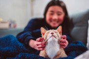【海外】「猫が家畜化されたのはいつ？実は私たちが猫に家畜化されたとも言える理由」