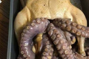 外国人「食べたら呪われそうな食べ物を見せていくｗｗｗｗ」