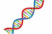 「DNA検査によって家族の新たな秘密が発覚した人に質問、何がわかった？」回答いろいろ