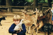 外国人「1人だけ様子がおかしい家族写真を見せてくれｗｗｗｗ」