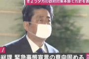 外国人「日本が明日に非常事態宣言、あまりにも遅すぎる」