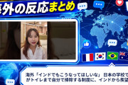 海外「インドでもこうなってほしいな」 日本の学校で生徒がトイレまで自分で掃除する制度に、インドから羨望の声