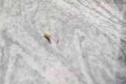 【閲覧注意】蠕虫さん、「跳ねる」特技を持っていた　←どこにそんな力があるんだよ