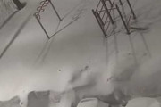 【画像】雪に負けない
