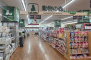 韓国人「日本の“猫共和国”ぶりが想像を超えていた…市場規模3兆円の『ネコノミクス』が生み出した圧倒的な品揃えに愛猫家たちが驚愕！“猫専用新聞”まで‥」