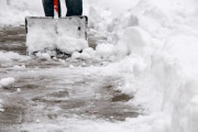 【海外】雪の下から巨大トカゲ発見！ drivewayを掘っていた男性の驚きの体験とは？