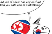 【韓国】韓国の腐敗選挙【ポーランドボール】