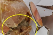 【閲覧注意】韓国人「韓国でチキンと一緒に出された焼き卵からウジムシが大量発生して炎上！」焼き卵からウジムシが蠢く　韓国の反応