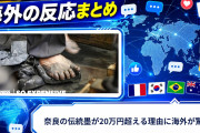 【海外の反応】奈良の伝統墨が20万円超える理由に海外が驚く