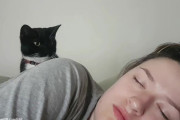やさしい肉球の使い方。毎朝飼い主を起こすときの猫のソフトタッチがかわいらしい
