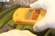 韓国人「日本に韓国の食材を持ち込み、放射能検査までする韓国選手団をご覧ください」