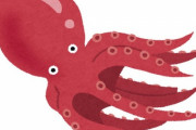「タコには9つも脳があるって知ってる？」複雑なパズルも解く知能の持ち主