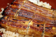 海外「12日間の日本旅行をしてきたからその時の様子を紹介しよう！」東京、京都、大阪、松阪旅行に対する海外の反応