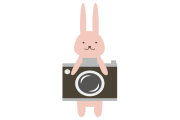 日本人が「うさぎ」をカメラで撮影しすぎた結果！【台湾人の反応】